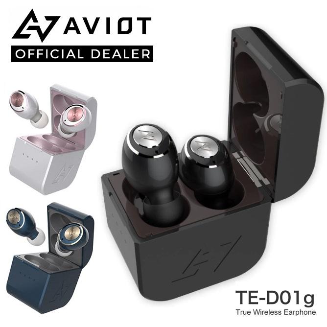 AVIOT TE-D01g True Wireless Bluetooth In-Ear Earphone with Microphone